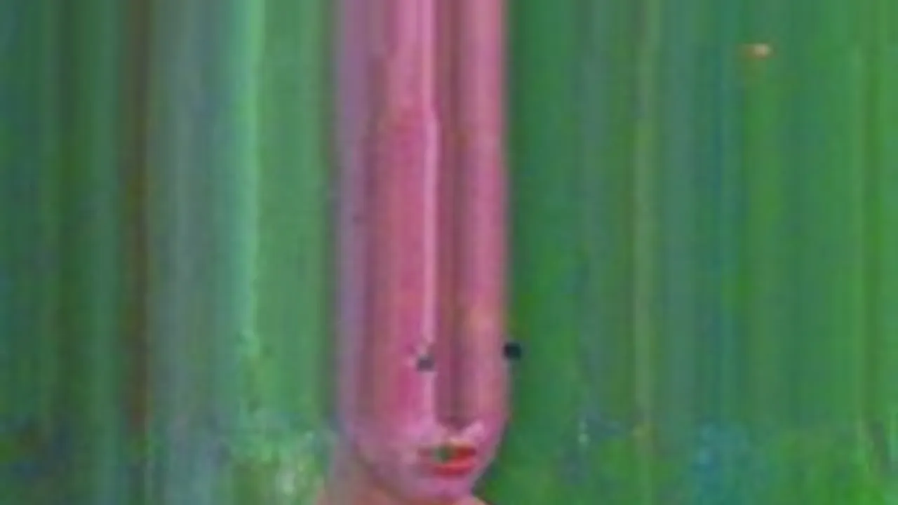 Vie de Jean Nicoli