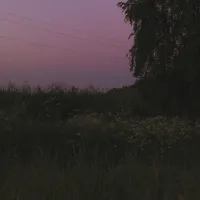your home