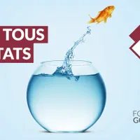 L’eau dans tous ses états