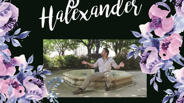 Jann Halexander en concert 'A vous dirais-je' au Gouvernail