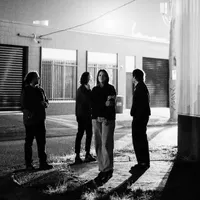 Fragile Animals