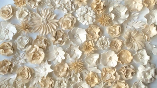 Exposition "Le Pouvoir des Fleurs" de Lise Meunier