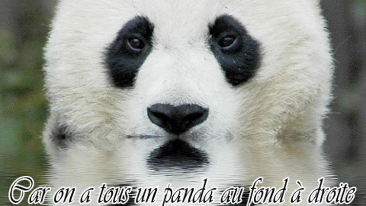 Au fond à droite