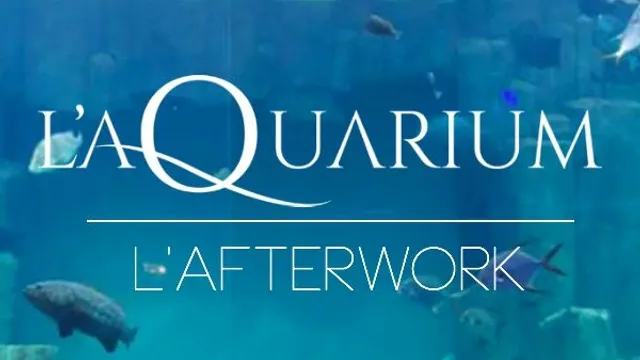 Opening exclusif - Afterwork à l'aquarium