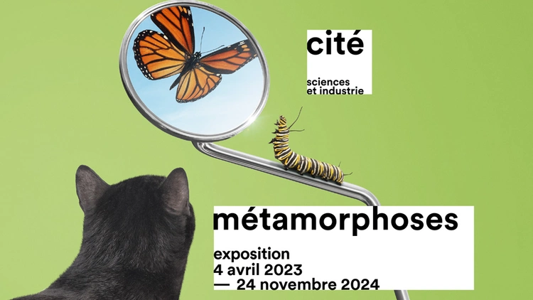 Métamorphoses