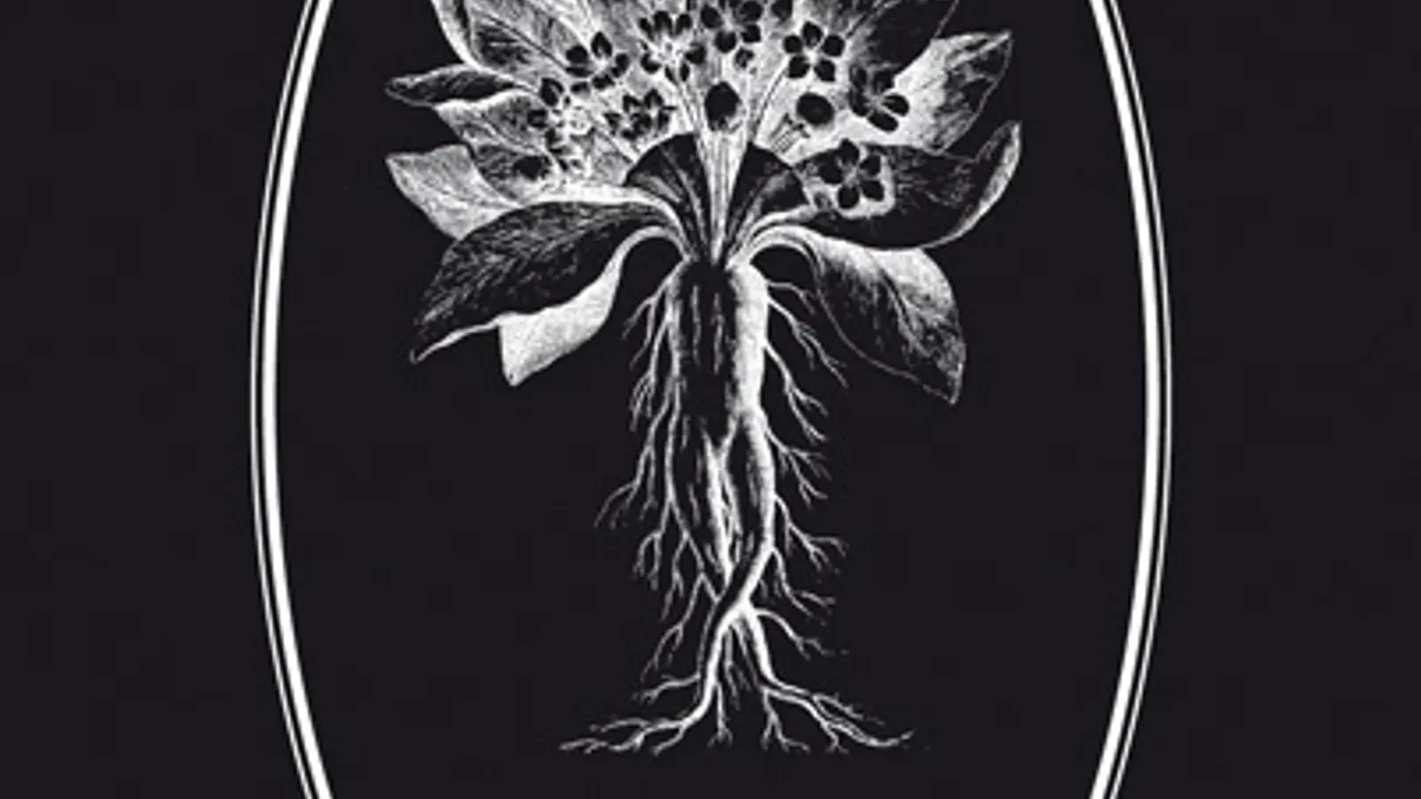 Deadly Nightshade