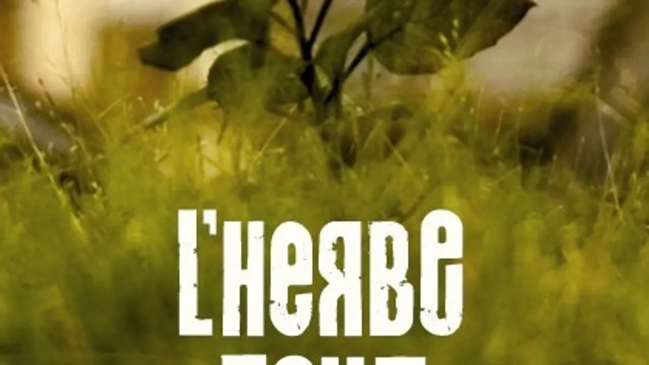 Les dimanches acoustiques : L'herbe folle