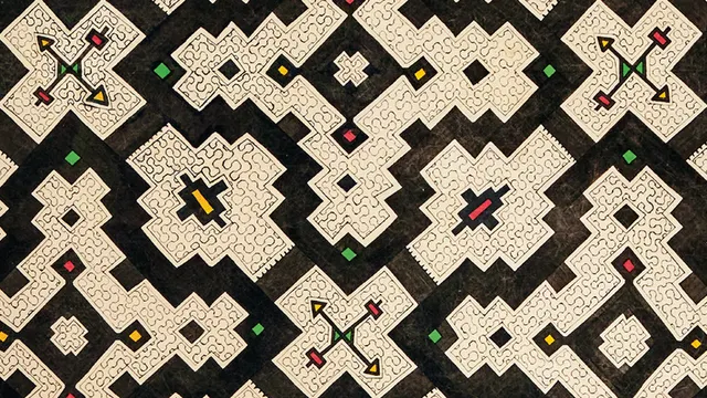 Visions chamaniques - Arts de l'Ayahuasca en Amazonie péruvienne