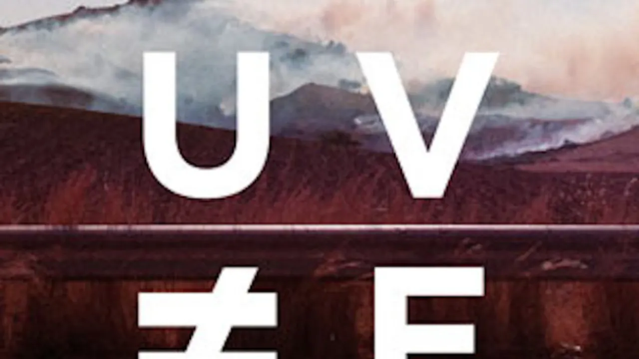 Fauve en concert