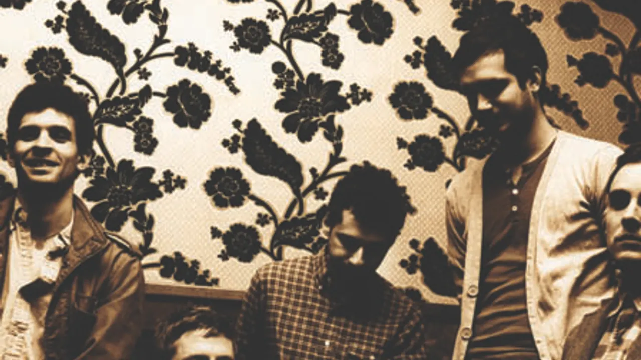 White Rabbits