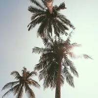 Chill Identity