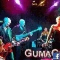 Guma Guma P