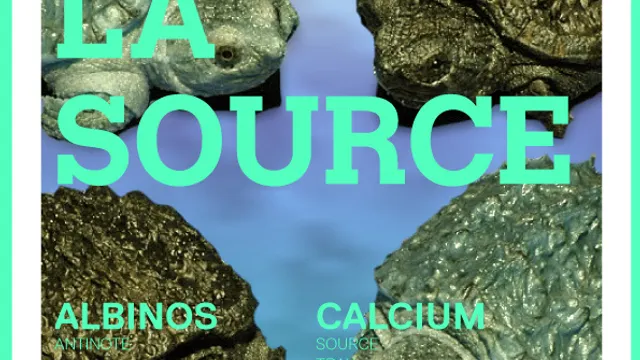 La Source avec Albinos live, Kohd, Calcium