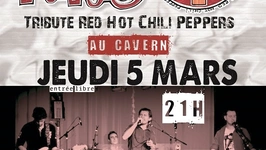 Dani's Peppers - tribute To Red Hot Chili Peppers