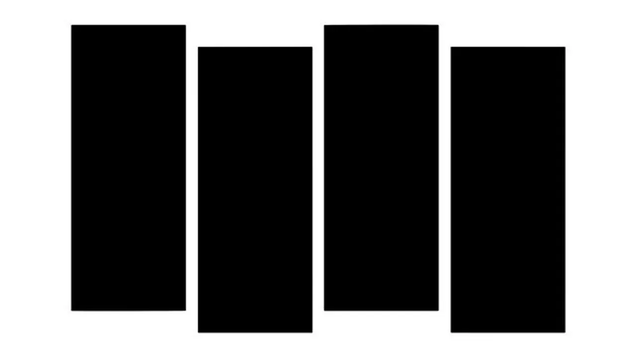 Black Flag + Guest 