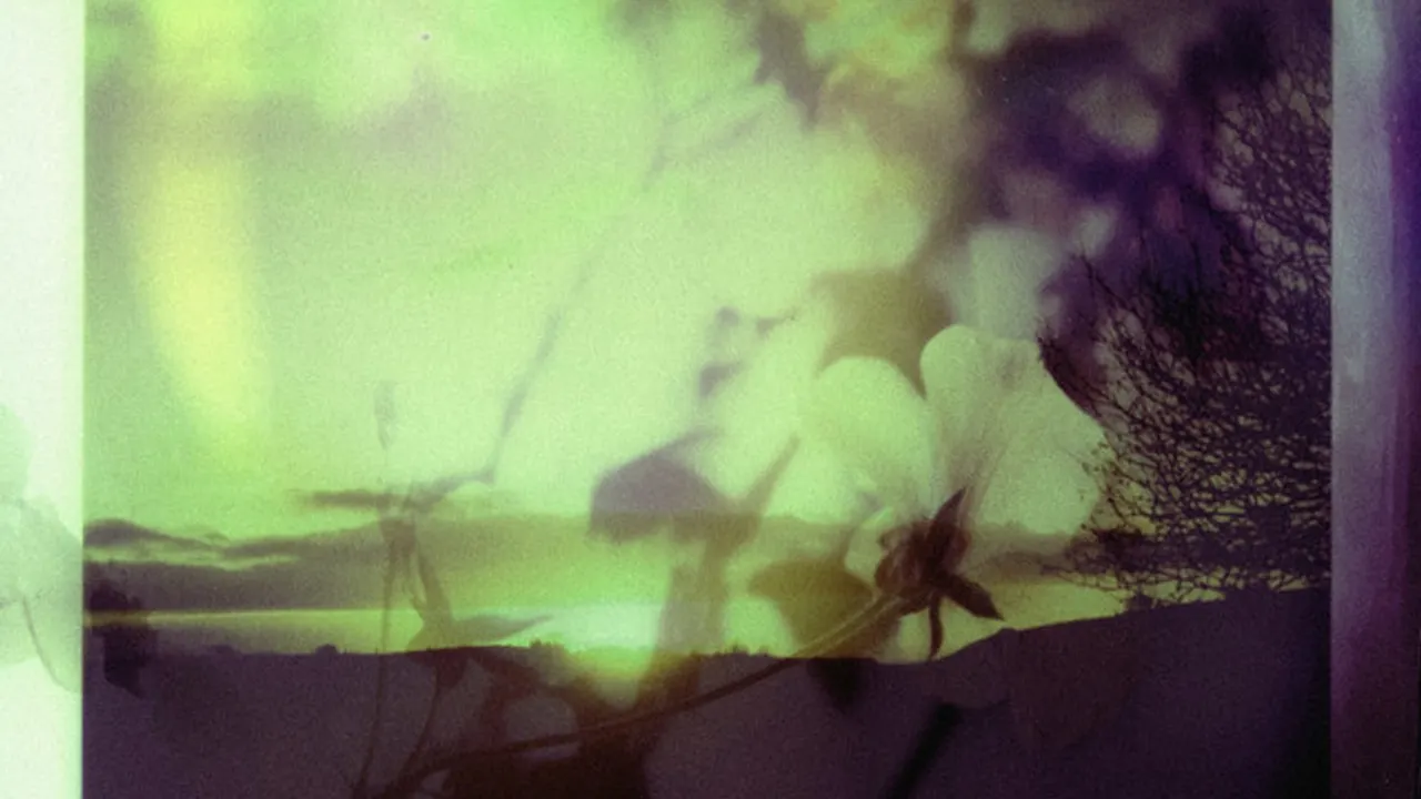 Decompression: Welcome to the Jungle feat. Decibella