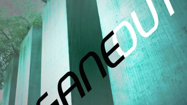 INsaneOUT