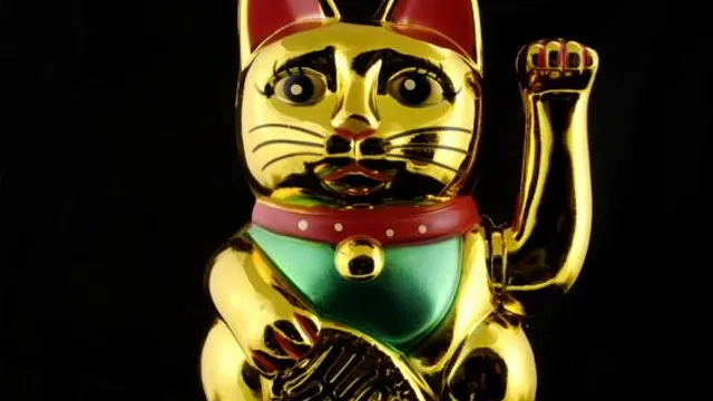 Cérémonie CHAT BEAT d'Or 2018 / Chatpéro #1