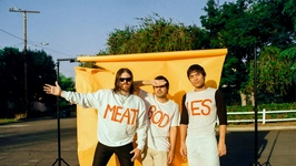 Meatbodies