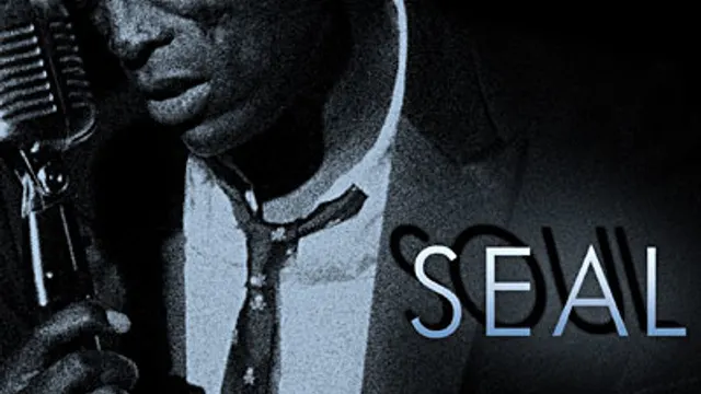Seal en concert