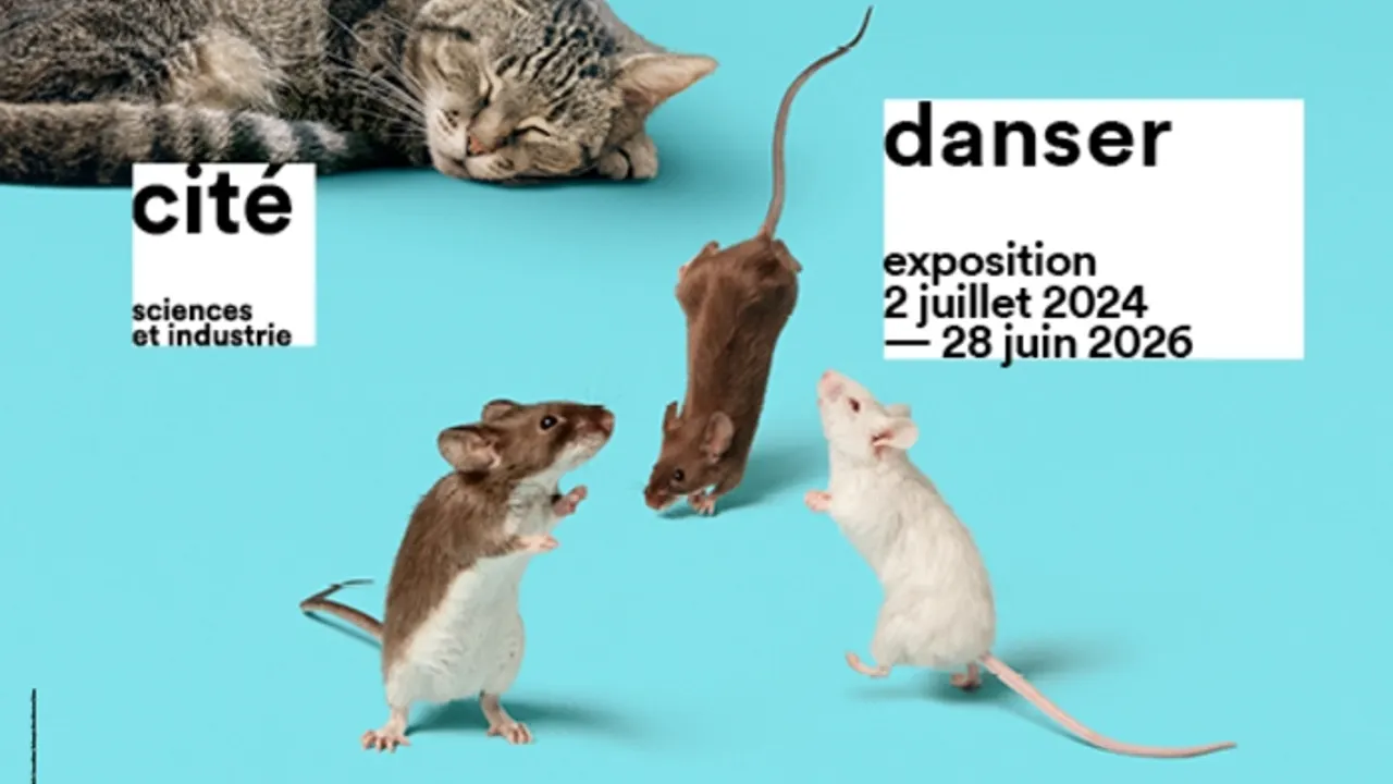 Danser