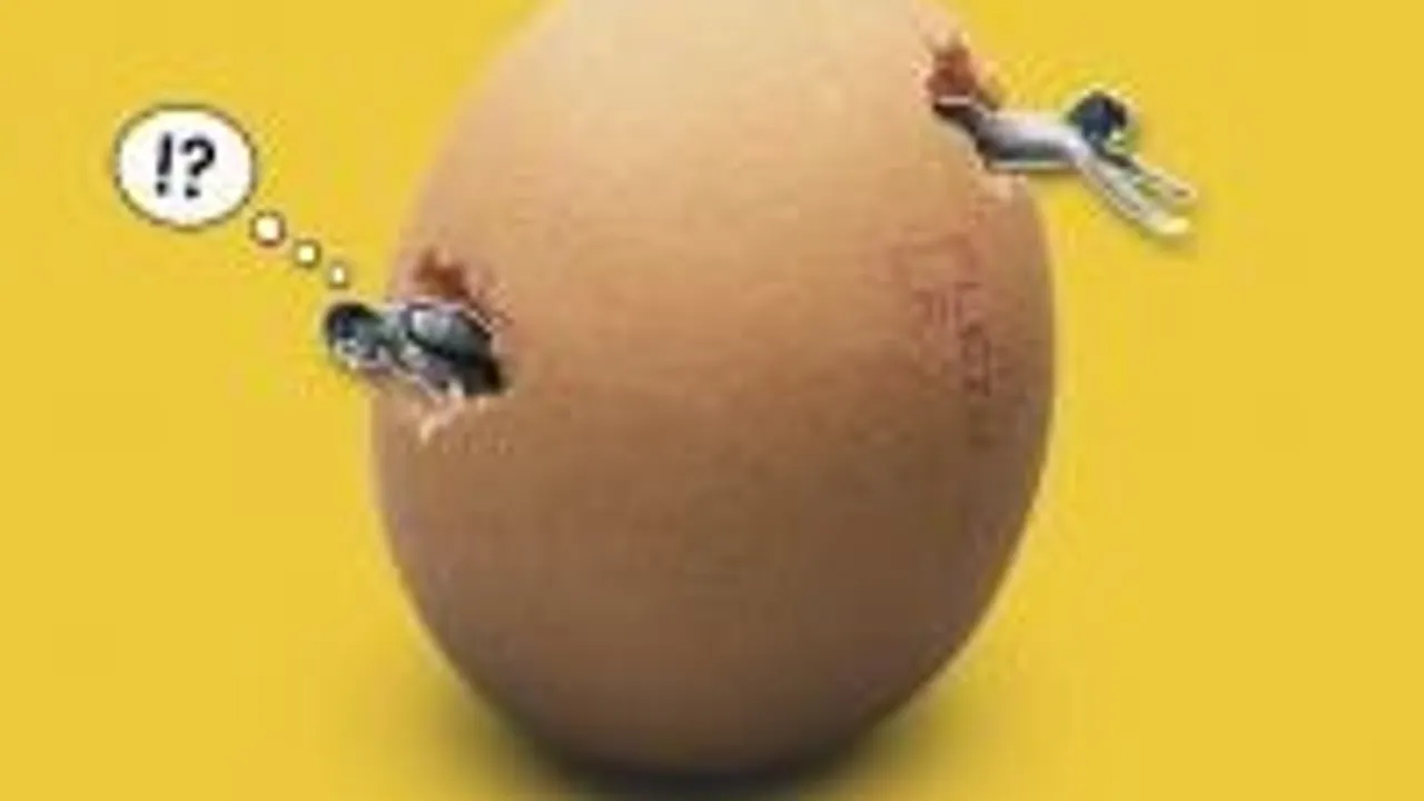 Art'oeuf