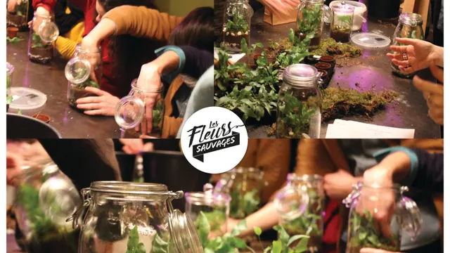 DIY : Fabrication d'un Terrarium
