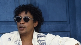 Laurent Voulzy en Concert - Tournée