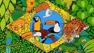 Bal do Brasil ≠ Samba, Forro, Axé, MPB & Baile Funk !