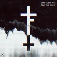 Gör FLsh
