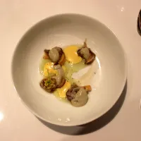 Nomos
