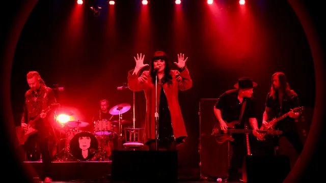 Ann Wilson: The Voice of Heart & Tripsitter