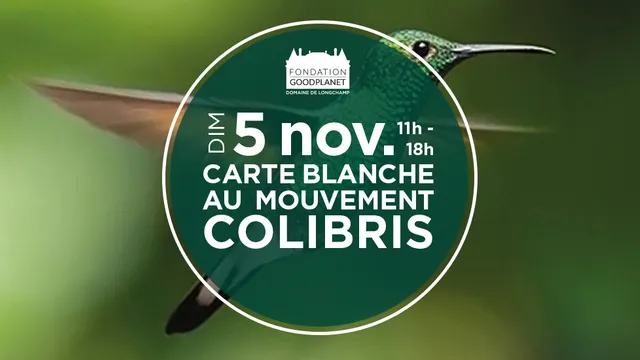 Carte Blanche au Mouvement Colibris