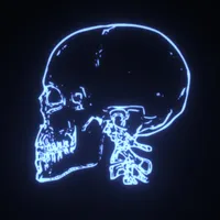 X-Ray