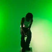 Twizzy cinco