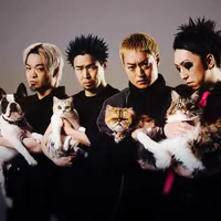 Sim