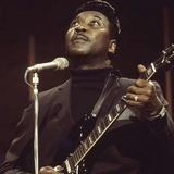 Muddy Waters