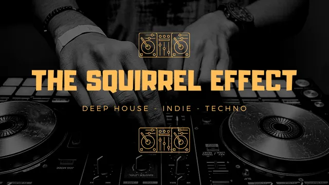 THE SQUIRREL EFFECT ◈ DJ SET