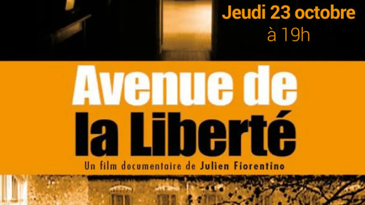 Amener l'art dans la prison, projection et rencontre