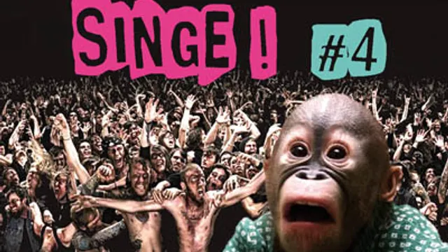 Casse Ton Singe #4