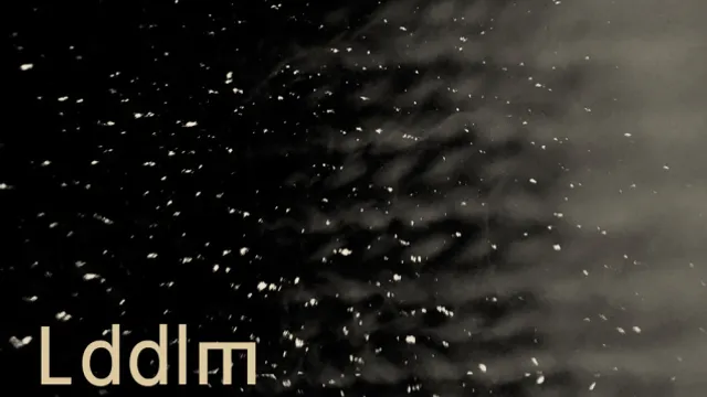 LDDLM