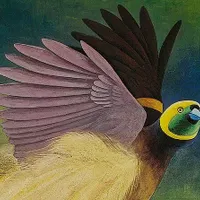 Plumes du paradis - Voyages d'un oiseau extraordinaire de Nouvelle-Guinée