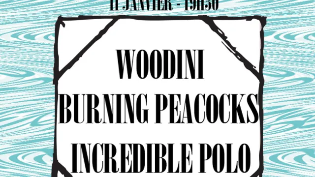 Day One : Woodini + Burning Peacocks + Incredible Polo