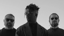 Animals as Leaders