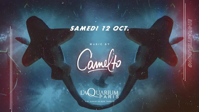 l'Aquarium Club, nouvelle vague avec Camelto