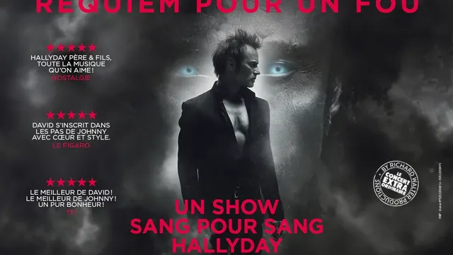 David Hallyday - Requiem pour un fou