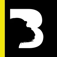 BIG B