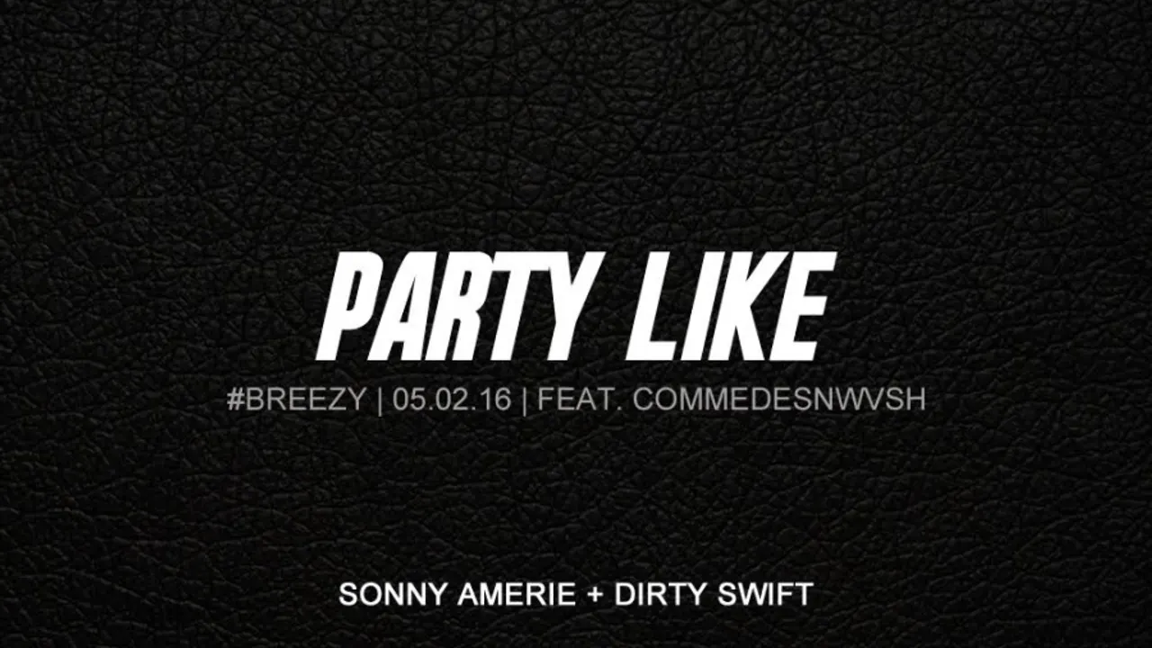 PARTY LIKE  #2 #BREEZY I 05.02.16 I SONNY AMERIE x DIRTY SWIFT I Chez Papillon