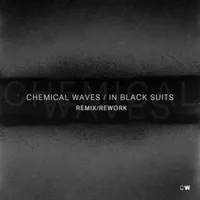 Chemical Waves