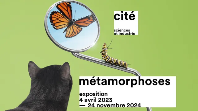 Métamorphoses